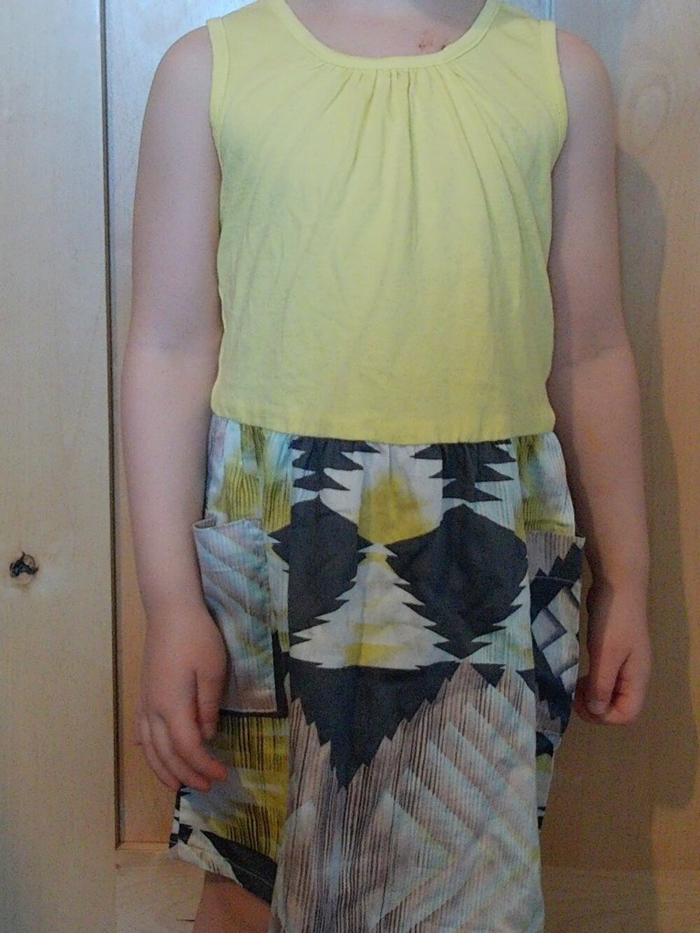 Anthem of the Ants Dress with pockets